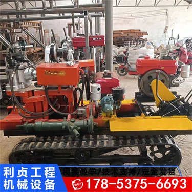 钻塔款履带式液压岩芯钻机 利贞野外地质勘探轻便取芯设备 柴油动力