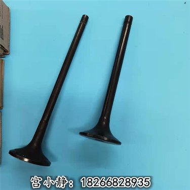 美康代理 发动机进排气阀2881810 2881811 三一多功能钻机